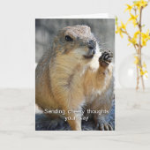 プレーリードッグ勇気付けられるカード カード (黄色い花)