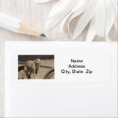 プレーリードッグ差出人住所ラベル ラベル (インサイチュ)