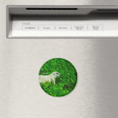 プレーリードッグ抽象芸術印象主義 マグネット (インサイチュ (食洗機))