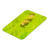 プレーリードッグ抽象芸術印象主義 マグネット (左側)