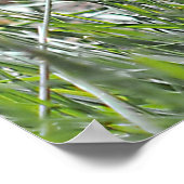 プレーリードッグ昼休み ポスター (角)