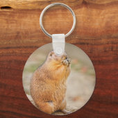 プレーリードッグ キーホルダー (正面)