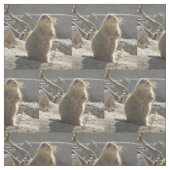 プレーリードッグ ファブリック (見本)