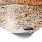 プレーリードッグ フォトプリント (角)