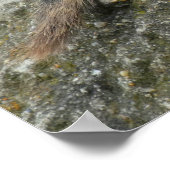 プレーリードッグ ポスター (角)