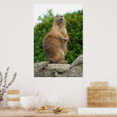 プレーリードッグ ポスター (キッチン)