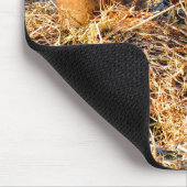 プレーリードッグ マウスパッド (コーナー)