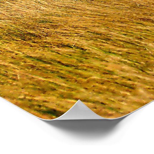 プレーリーマイルの額縁 ポスター (角)