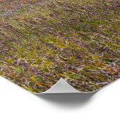 プレーリーランドスケープ秋のアフトン州パーク ポスター (角)