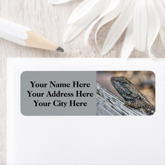 プレーリーリザード ラベル (インサイチュ)