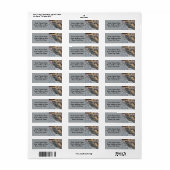 プレーリーリザード ラベル (フルシート)