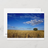 プレーリー小麦と空 ポストカード (正面/裏面)