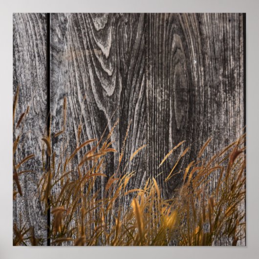 プレーリー小麦オンバーンドボード ポスター (正面)