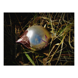 プレーリー応援 フォトプリント           