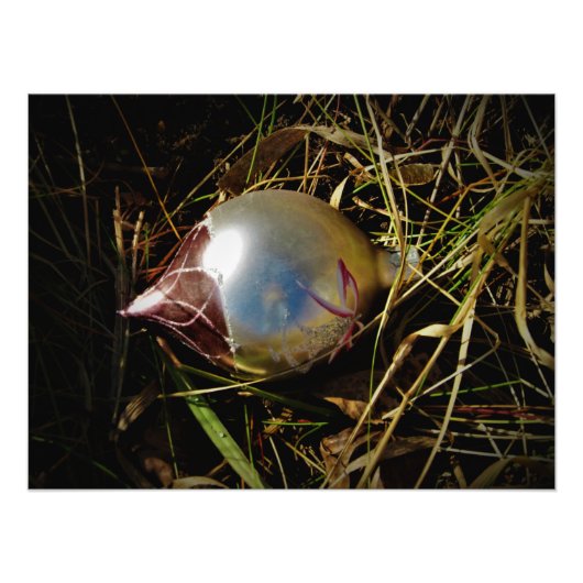 プレーリー応援 フォトプリント            (正面)