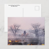 プレーリー火災の後、カンザス州フリント・ヒルズ ポストカード (正面/裏面)