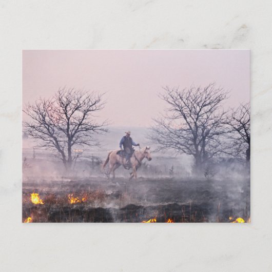 プレーリー火災の後、カンザス州フリント・ヒルズ ポストカード (正面)