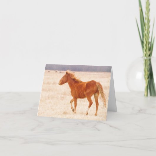 プレーリー火災 サンキューカード (正面)