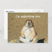 プレーリー犬はがき「I'm Watching You」 ポストカード (正面/裏面)