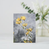 プレーリー美しい ポストカード (スタンド正面)