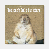 プレーリ救済ドグマグネット マグネット (正面)