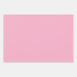 プレーンなでしこカーネーションピンクシェード3トーンWr ラッピングペーパーシート