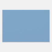 プレーンアイスバーグフロストブルーフランスのシェード3トーン ラッピングペーパーシート (正面2)