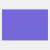 プレーンインディゴアイリスガーデンパープルシェード3トーン ラッピングペーパーシート (正面3)