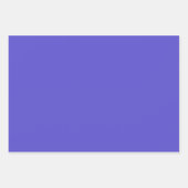 プレーンインディゴアイリスガーデンパープルシェード3トーン ラッピングペーパーシート (正面2)