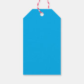 プレーンエレガントAzureブルーパーソナライズされたカスタム ギフトタグ (裏面)