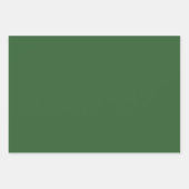 プレーンオフィス春ムガルグリーンシェード3トーン ラッピングペーパーシート (正面3)