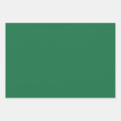 プレーンオフィス春ムガルグリーンシェード3トーン ラッピングペーパーシート (正面2)