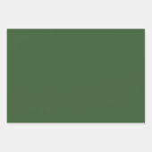 プレーンカラーのグレープ葉の緑 ラッピングペーパーシート (正面2)