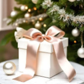 プレーンカラーエレガントスキンベージュD2AFA1 サテンリボン