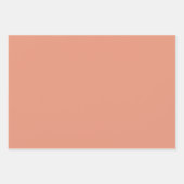 プレーンサーモンメドレピーチカラーシェードトーン3 ラッピングペーパーシート (正面3)