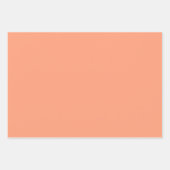 プレーンサーモンメドレピーチカラーシェードトーン3 ラッピングペーパーシート (正面)