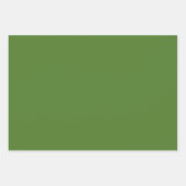 プレーンシャムロック顔料サップグリーンシェード3トーン ラッピングペーパーシート (正面3)