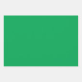 プレーンシャムロック顔料サップグリーンシェード3トーン ラッピングペーパーシート (正面2)