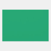 プレーンシャムロック顔料サップグリーンシェード3トーン ラッピングペーパーシート (正面)