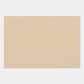 プレーンジンジャーフォーチュンクッキーブラウンシェード3トーン ラッピングペーパーシート (正面)