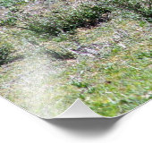 プレーンズのガゼル フォトプリント            (角)