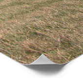 プレーンズのシャトー ポスター (角)