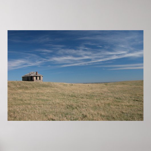 プレーンズのシャトー ポスター (正面)