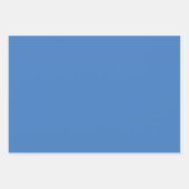 プレーンタフツレイクシャドウブルーシェード3トーン ラッピングペーパーシート (正面)