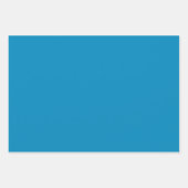 プレーントゥルーダーク石板ブルーシェード3トーン ラッピングペーパーシート (正面)