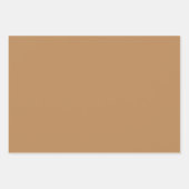 プレーントーストキャンバスブラウンシェード3トーン ラッピングペーパーシート (正面3)