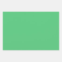 プレーンパリブドイエローグリーンシェード3トーン ラッピングペーパーシート