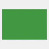 プレーンフォレストダークグリーンシェード3トーン ラッピングペーパーシート (正面)