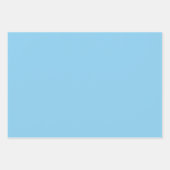 プレーンベビーカロライナ鋼ブルーシェード3トーン ラッピングペーパーシート (正面)