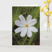 プレーンホワイト美しい カード (黄色い花)